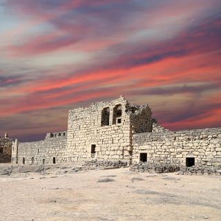 Castelli privati del deserto con Shaumari Wildlife e Azraq Wetland