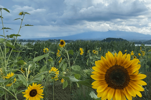 From Tokyo: Mount Fuji And Hakone Private Day Trip