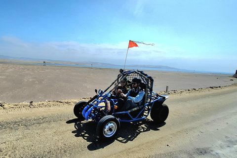 Paracas: Ballestas Islands Boat Tour & Mini Buggy Ride