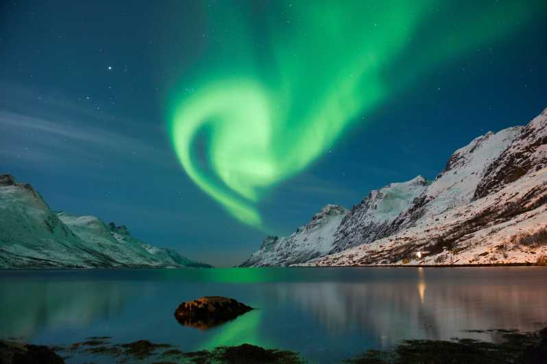 Tromsø: tour a piedi a caccia dell'aurora boreale