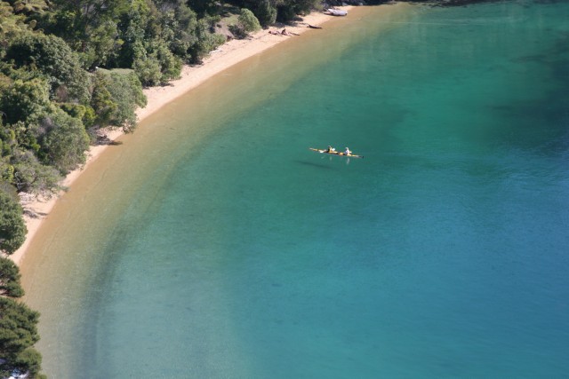 Visit Marlborough Sounds Full-Day Guided Kayak Tour with Lunch in Blenheim