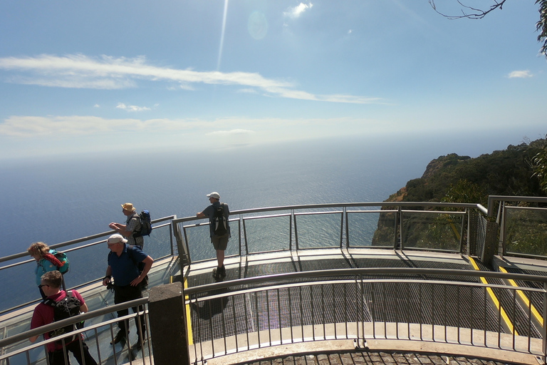 Madeira: tour 4x4 de naturaleza y vino desde Funchal o Caniço