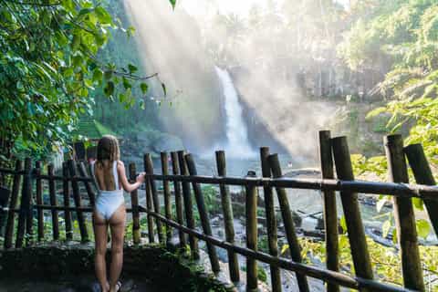 Ubud: Waterfall, Rice Terraces & Monkey Forest Private Tour