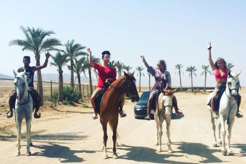 Шарм Эль Шейх: сафари по пустыне на лошадях