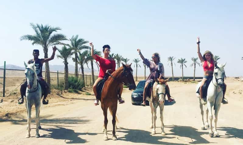 Sharm El Sheikh: Reitsafari durch die Wüste | GetYourGuide