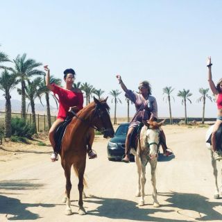 Sharm El Sheikh: Desert Safari on Horseback