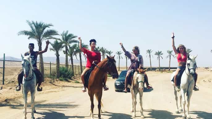 sharm el sheikh desert safari on horseback