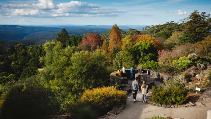 from katoomba blue mountains botanic garden and bilpin tour