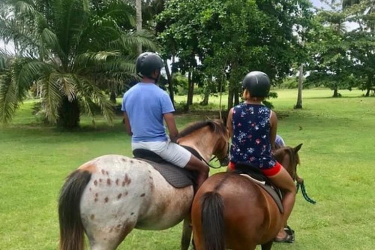 زنجبار: مغامرة منيمبا للغطس ومشاهدة الدلافين وركوب الخيلجولة خاصة مع خدمة النقل بدون رسوم دخول وبد