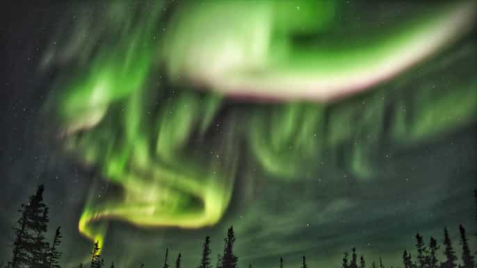 rovaniemi northern lights adventure on a snowmobile