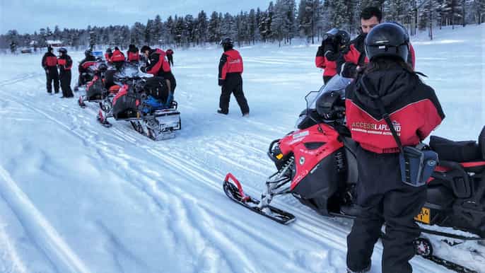 rovaniemi snowmobiling with husky and reindeer sleigh rides