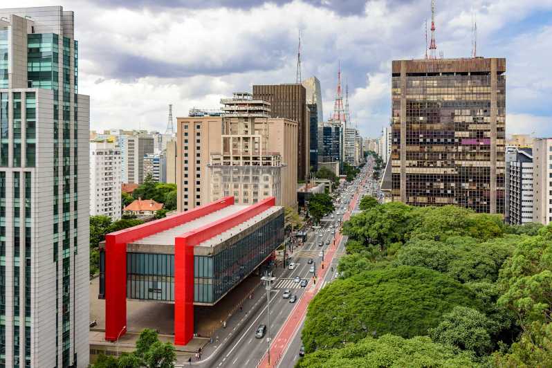 São Paulo City: 5-stündige private Tour