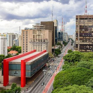 São Paulo City: 5-Hour Private Tour