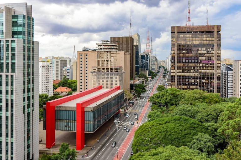 São Paulo : visite privée de 5 hSão Paulo : visite privée de 5 h, transfert aller-retour