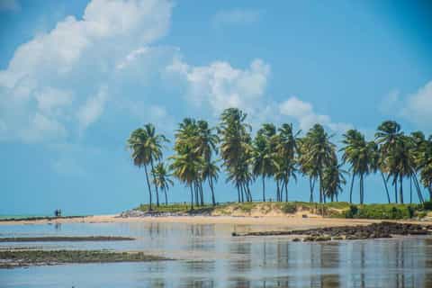 Desde Natal: día en la playa de Maracajaú con esnórquel