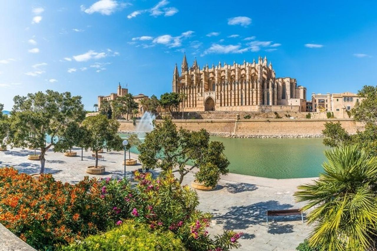 Palma de Mallorca : Best Street Food Tour With A Local Guide Palma de Mallorca: 3 Hours Private Food Tasting Walking Tour