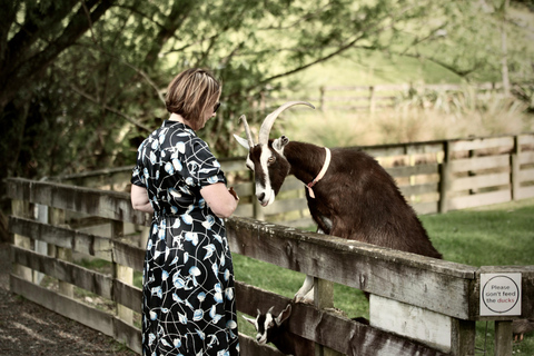 Auckland: Sheepworld, Honey Centre, & Kauri Trail Tour