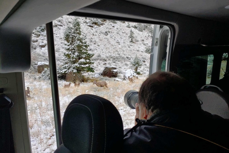 Ab Jackson: 4-tägige Grand Teton und Yellowstone Wintertour