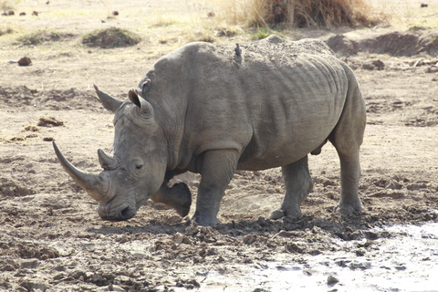 Namibië Ontdekkingsreis