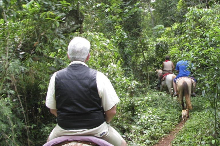 Puerto Iguazu: balade à cheval dans la jungle avec la communauté GuaraníPrise en charge à l'hôtel à Puerto Iguazú