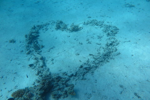 Hurghada: Snorkling i Orange Bay med lunch och dykning (tillval)Privat båt - Specialpaket för grupper