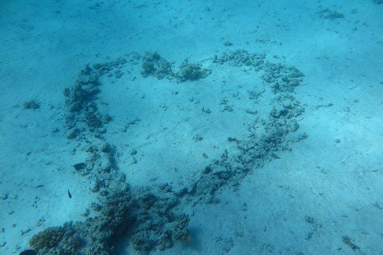 Hurghada: Snorkel en la Bahía de Orange con almuerzo y buceo opcionalBarco privado - Paquete especial para grupos