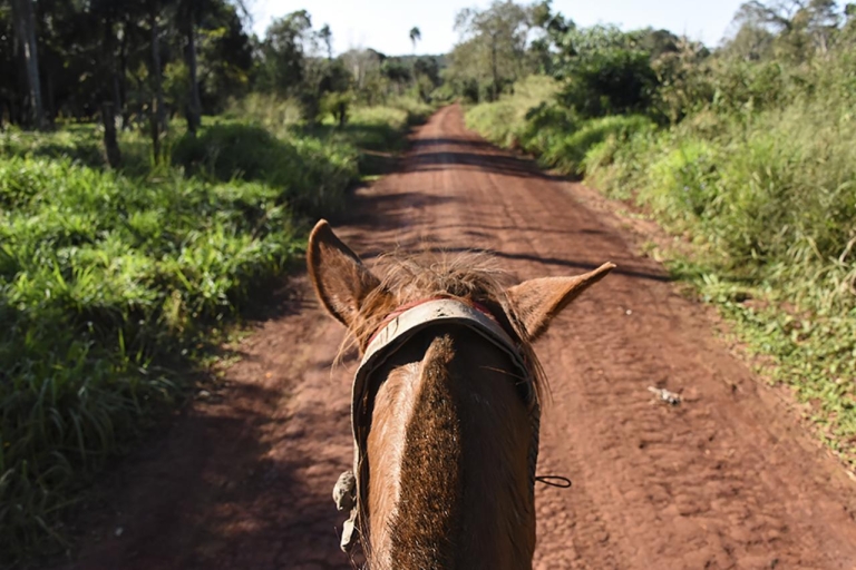 Puerto Iguazu: Jungle Horseback Ride with Guaraní CommunityHotel Pickup Puerto Iguazu