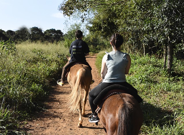 Visit Puerto Iguazu Jungle Horseback Ride with Guaraní Community in Iguazu Falls, Argentina
