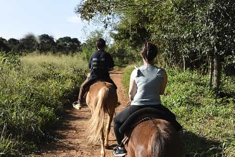 Puerto Iguazu: Jungle Horseback Ride with Guaraní Community