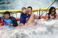 Huskisson, Dolphin Cruise & Boom Netting Experience - Housity