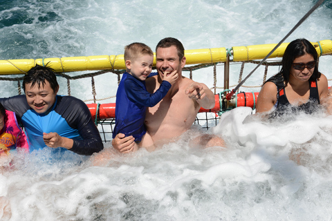 Huskisson: Dolphin Cruise & Boom Netting Experience