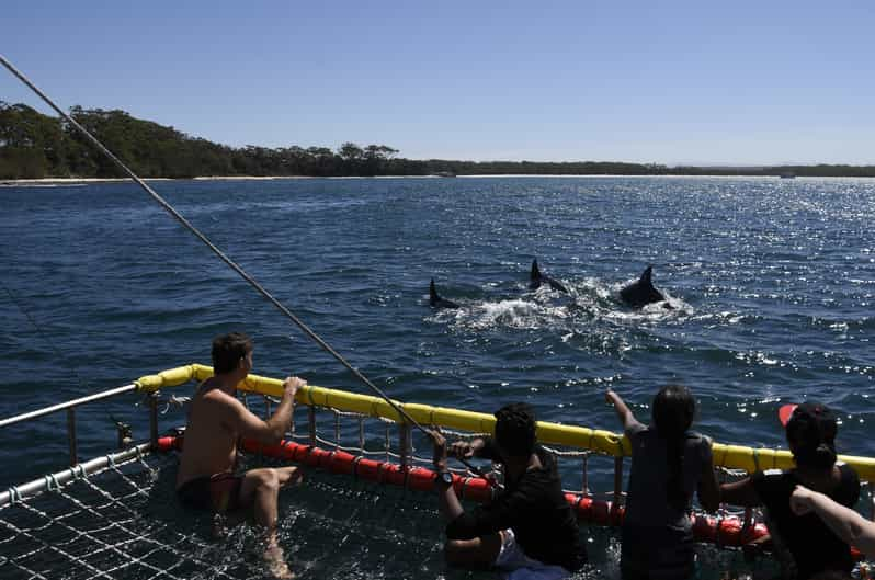 dolphin wild cruises huskisson