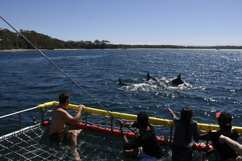 Huskisson: Dolphin Cruise & Boom Netting Experience