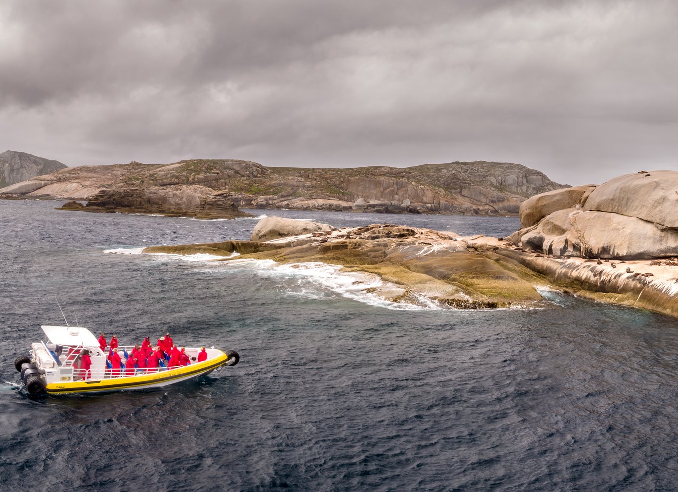 Wilsons Promontory: Eftermiddagskrydstogt i vildmarken