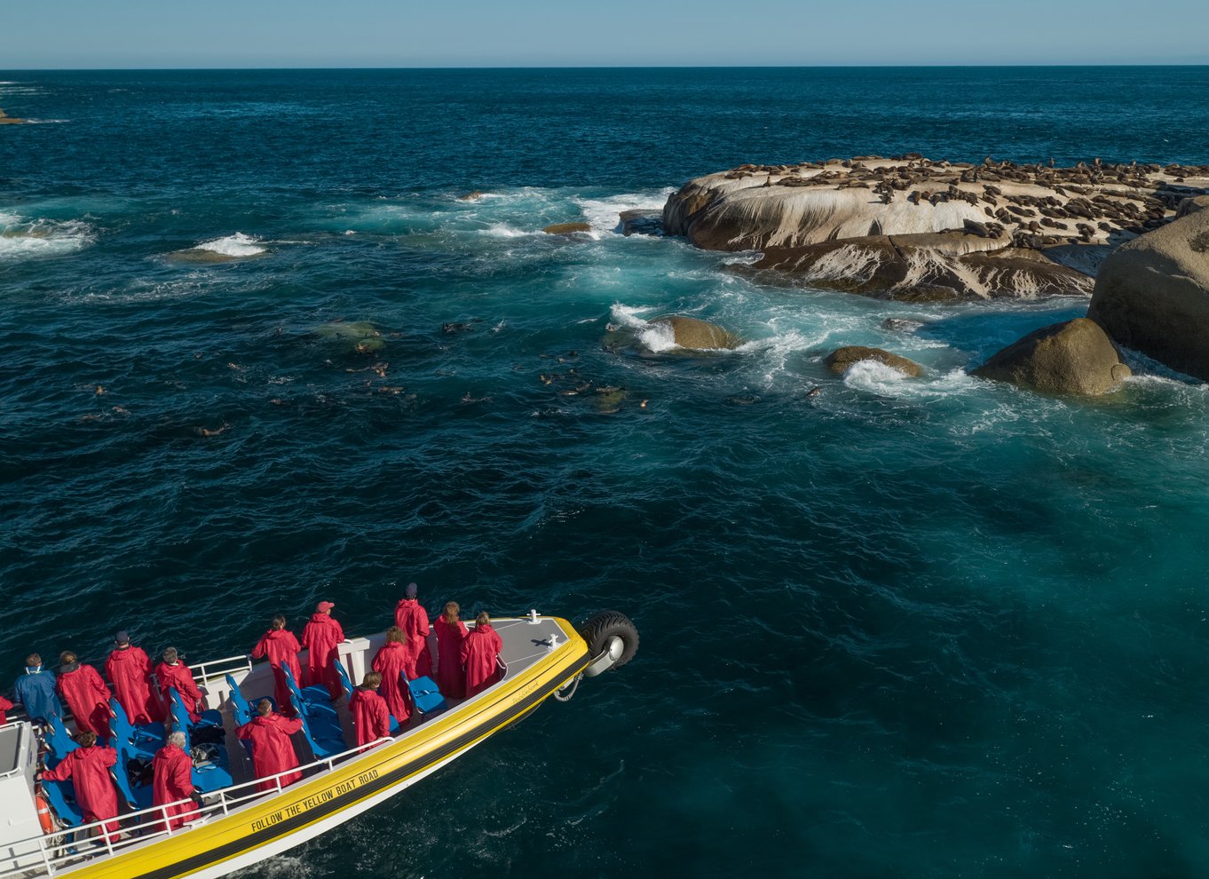 Wilsons Promontory: Eftermiddagskrydstogt i vildmarken