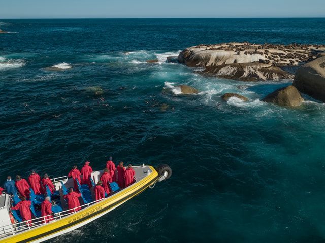 Wilsons Promontory: Afternoon Wilderness Cruise