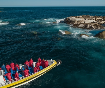 Wilsons Promontory: Afternoon Wilderness Cruise