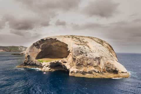 Wilsons Promontory: 2.5-Hour Wilderness Cruise