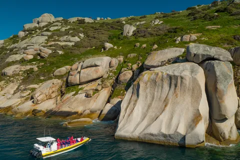 Melbourne: Wilsons Promontory Morning Wilderness risteily