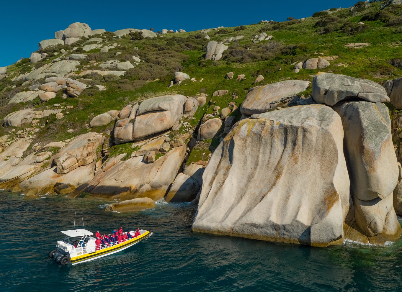 Wilsons Promontory: Eftermiddagskrydstogt i vildmarken