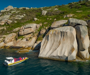 Melbourne: Wilsons Promontory Morning Wilderness Cruise
