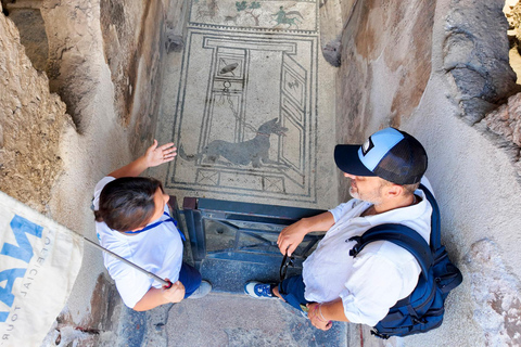 Pompeii Tour from Naples by Mercedes Minivan with Guide