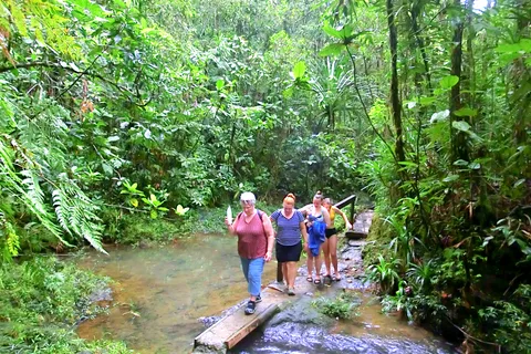 Suva: Half Day City Sightseeing Tour