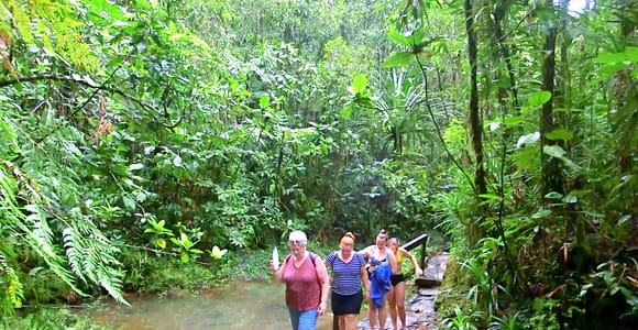 Suva: Half Day City Sightseeing Tour