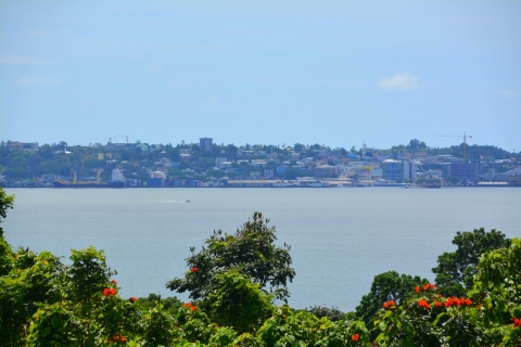 Suva: Halbtägige Stadtrundfahrt