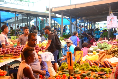 Suva: visite touristique d'une demi-journée de la ville