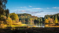 From Edinburgh, Stirling Castle, Kelpies and Loch Lomond - Housity
