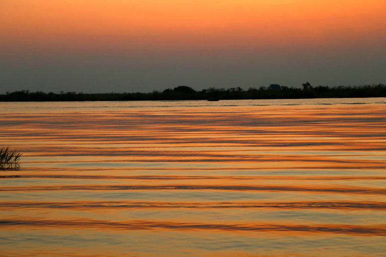 Desde Kasane: crucero al atardecer por el río Chobe