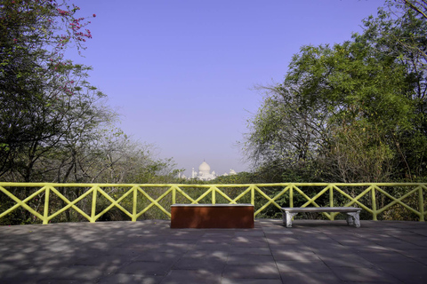 Agra: Skip-the-Line Taj Mahal & Agra Fort Private Tour From Delhi: Tour with Car + Driver+ Guide + Entrance Tickets