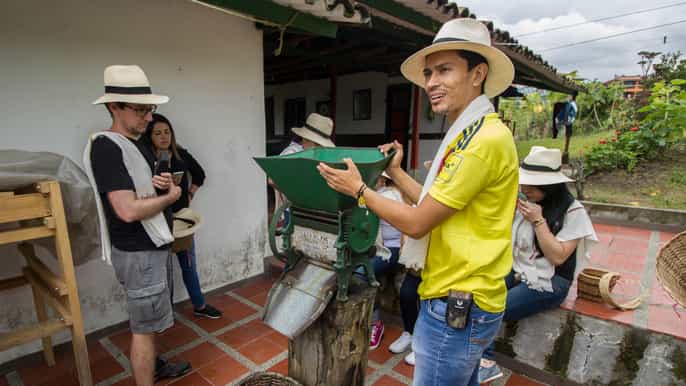from salento or pereira coffee farm and hot springs tour